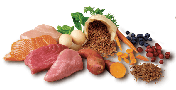 Ingredienti MagicBARF