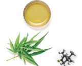 Olio di Canapa per cani 250ml