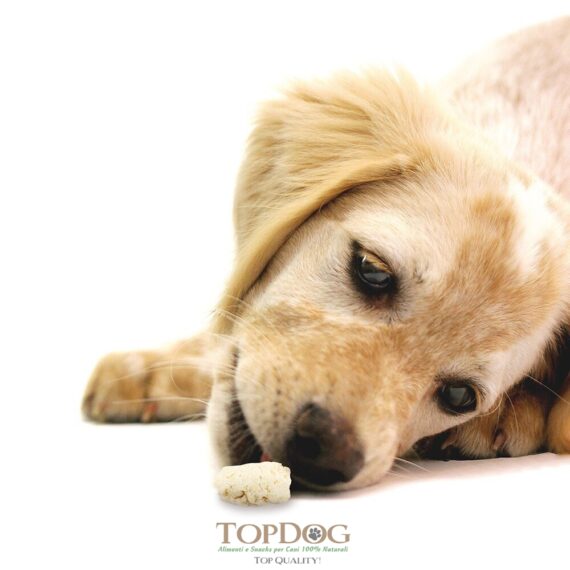 Cocco per cani BIO - immagine 2