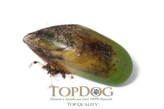 Cozze verdi in polvere per cani - immagine 3
