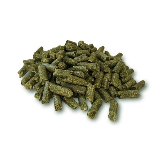 erba medica per cani