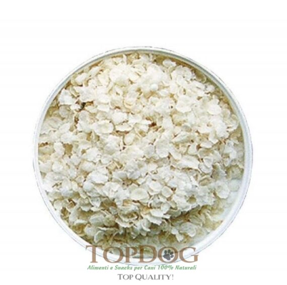 1731-Fiocchi-di-riso-precotto-per-cani-1kg.jpg