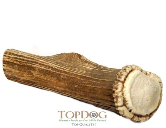 Corno di cervo per cani taglia Gigante - XXL -Jumbo