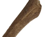 Corno di cervo per cani taglia grande - XL