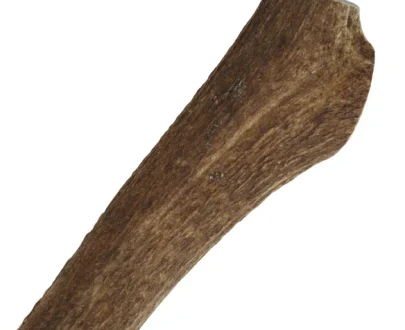 Corno di cervo per cani taglia grande - XL