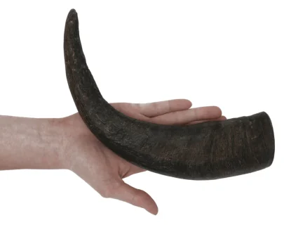 Corno di Bufalo per cani taglia L