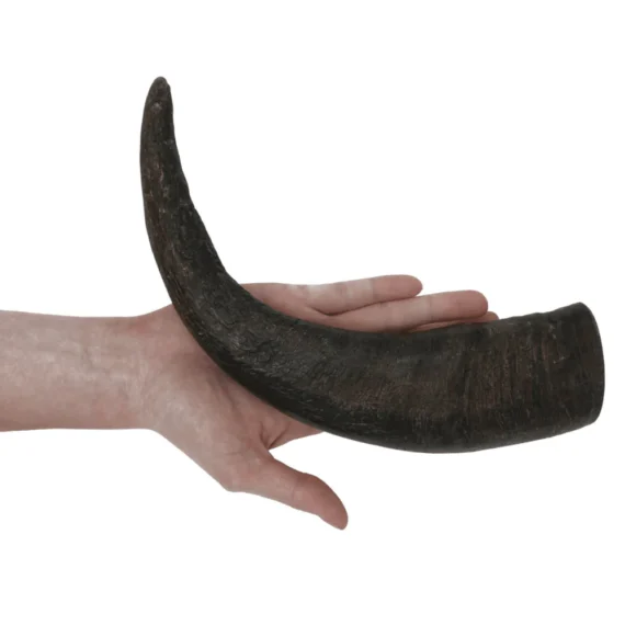 corno di bufalo per cani vendita
