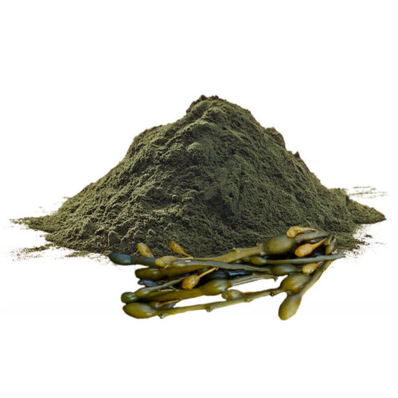 Farina di alghe marine per cani- Alga Bruna - 250gr