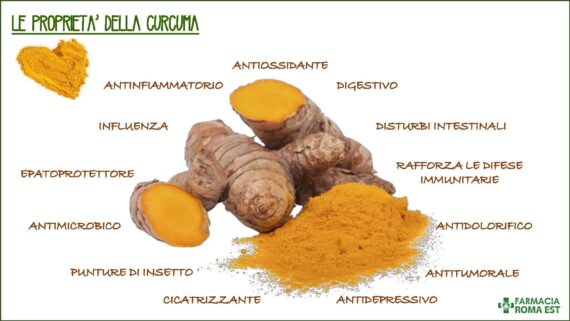 Curcuma per cani - immagine 2