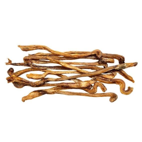 nerbi essiccati di agnello per cani