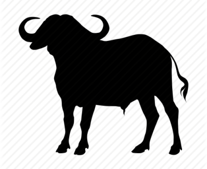 Masticativi per cani Bufalo