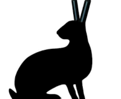 Masticativi per cani selvaggina