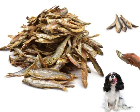 Aringhe essiccate per cani - immagine 4