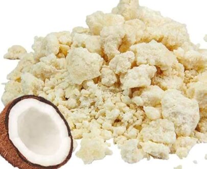 cocco disidratato per cani