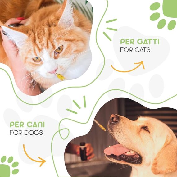 olio di canapa per cani